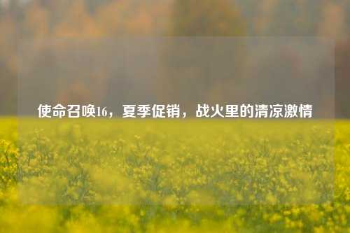 使命召唤16，夏季促销，战火里的清凉***