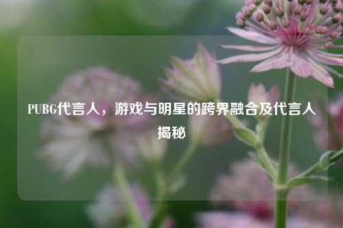 PUBG代言人，游戏与明星的跨界融合及代言人揭秘