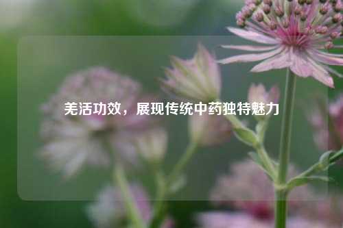 羌活功效，展现传统中药独特魅力