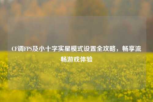 CF调FPS及小十字实星模式设置全攻略，畅享流畅游戏体验