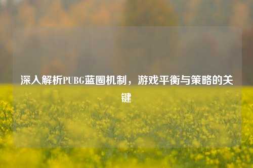 深入解析PUBG蓝圈机制，游戏平衡与策略的关键