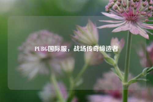 PUBG国际服，战场传奇缔造者