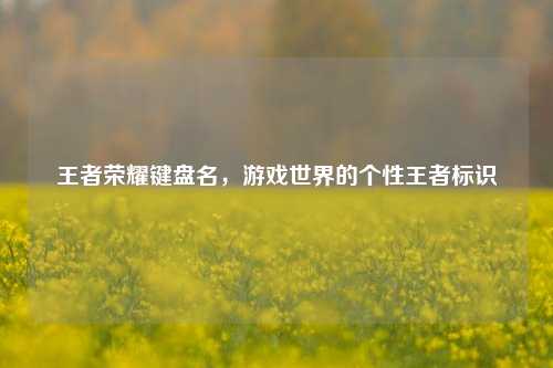 王者荣耀键盘名，游戏世界的个性王者标识