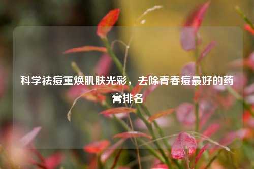 科学祛痘重焕肌肤光彩，去除青春痘更好的药膏排名