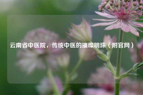 云南省中医院，传统中医的璀璨明珠（附官网）