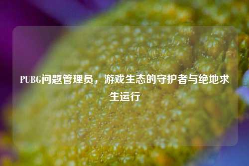 PUBG问题管理员，游戏生态的守护者与绝地求生运行