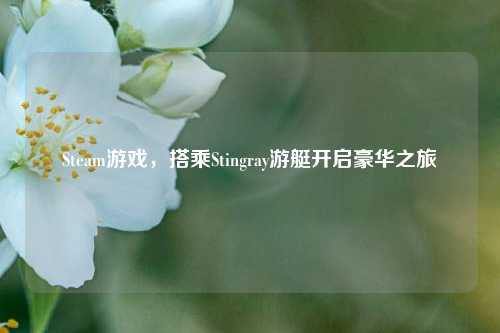 Steam游戏，搭乘Stingray游艇开启豪华之旅