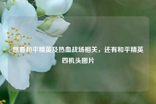 想看和平精英及热血战场相关，还有和平精英四机头图片