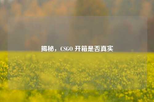 揭秘,CSGO 开箱是否真实
