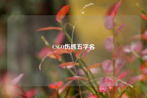 CSGO伤感五字名