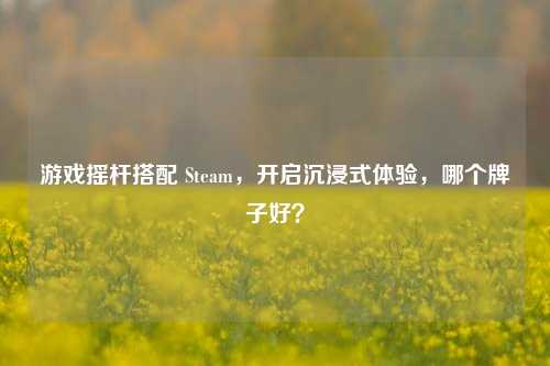 游戏摇杆搭配 Steam,开启沉浸式体验,哪个牌子好?