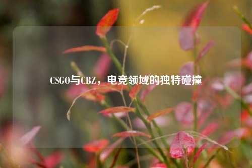 CSGO与CBZ,电竞领域的独特碰撞