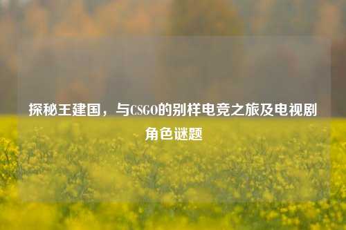 探秘王建国,与CSGO的别样电竞之旅及电视剧角色谜题