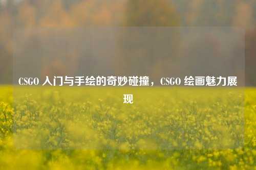CSGO 入门与手绘的奇妙碰撞,CSGO 绘画魅力展现