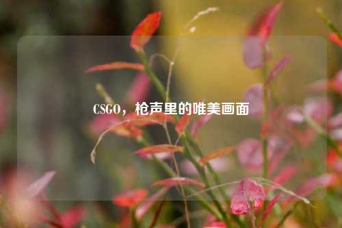 CSGO,枪声里的唯美画面