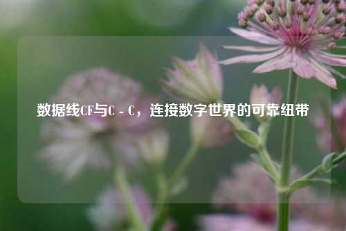 数据线CF与C - C,连接数字世界的可靠纽带