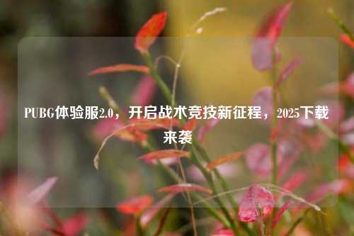 PUBG体验服2.0,开启战术竞技新征程,2025下载来袭
