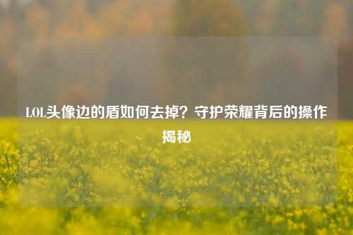 LOL头像边的盾如何去掉?守护荣耀背后的操作揭秘