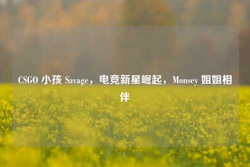 CSGO 小孩 Savage,电竞新星崛起,Monsey 姐姐相伴