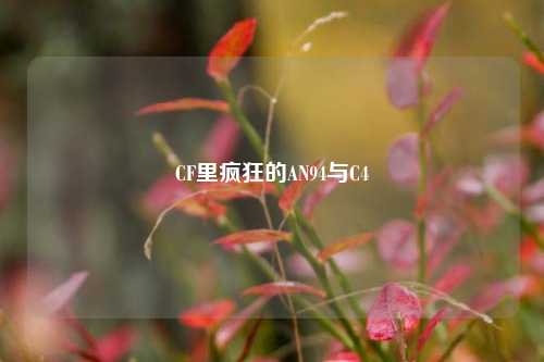 CF里疯狂的AN94与C4