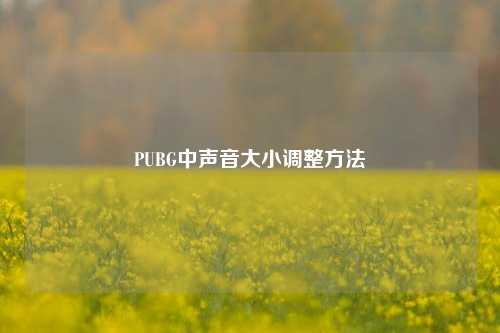 PUBG中声音大小调整 ***