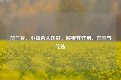 荷兰豆,小蔬菜大功效,解析其作用、禁忌与吃法