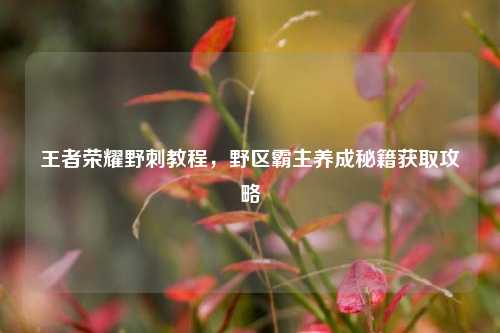 王者荣耀野刺教程,野区霸主养成秘籍获取攻略