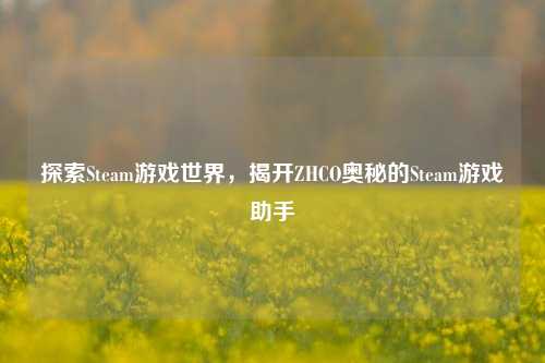 探索Steam游戏世界,揭开ZHCO奥秘的Steam游戏助手
