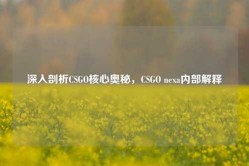 深入剖析CSGO核心奥秘,CSGO nexa内部解释