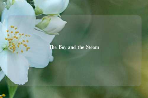 The Boy and the Steam