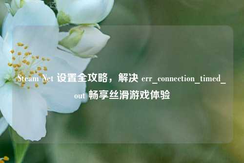 Steam Net 设置全攻略,解决 err_connection_timed_out 畅享丝滑游戏体验