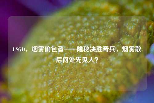 CSGO,烟雾偷包者——隐秘决胜奇兵,烟雾散后何处先见人?