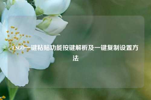 CSGO一键粘贴功能按键解析及一键***设置 ***
