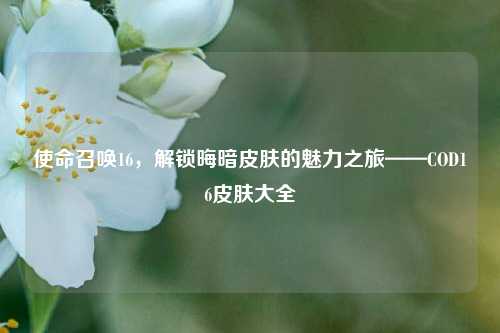 使命召唤16,解锁晦暗皮肤的魅力之旅——COD16皮肤大全