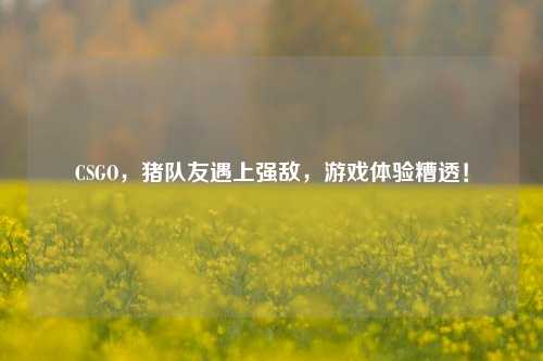 CSGO,猪队友遇上强敌,游戏体验糟透!