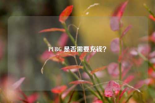 PUBG 是否需要充钱?