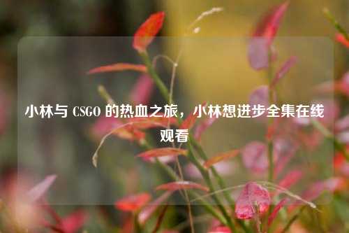 小林与 CSGO 的热血之旅,小林想进步***观看