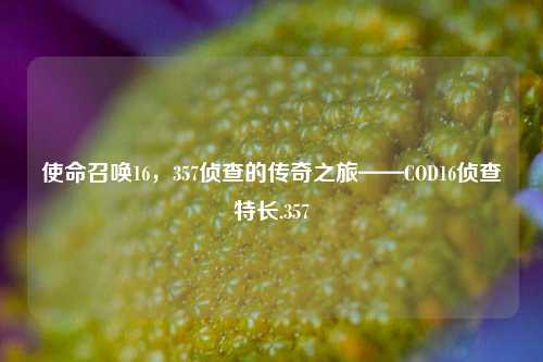 使命召唤16,357侦查的传奇之旅——COD16侦查特长.357