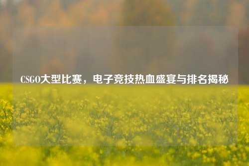 CSGO大型比赛,电子竞技热血盛宴与排名揭秘
