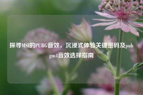 探寻MSI的PUBG音效,沉浸式体验关键密码及pubgm4音效选择指南