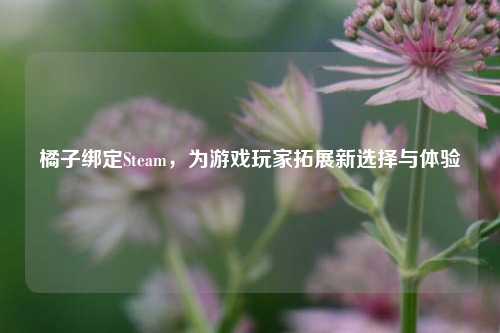 橘子绑定Steam,为游戏玩家拓展新选择与体验