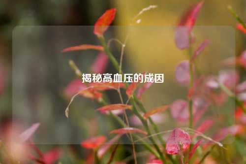 揭秘高血压的成因