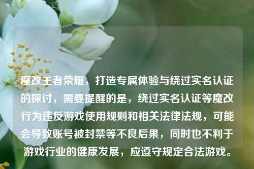魔改王者荣耀,打造专属体验与绕过实名认证的探讨,需要提醒的是,绕过实名认证等魔改行为违反游戏使用规则和相关法律法规,可能会导致账号被封禁等不良后果,同时也不利于游戏行业的健康发展,应遵守规定合法游戏。