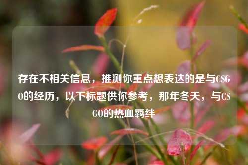 存在不相关信息,推测你重点想表达的是与CSGO的经历,以下标题供你参考,那年冬天,与CSGO的热血羁绊