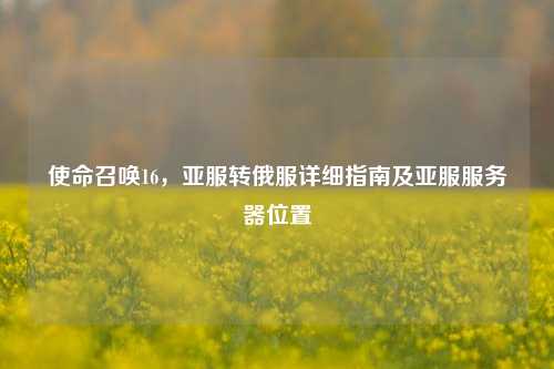 使命召唤16,亚服转俄服详细指南及亚服服务器位置