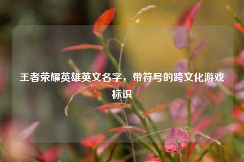 王者荣耀英雄英文名字,带符号的跨文化游戏标识