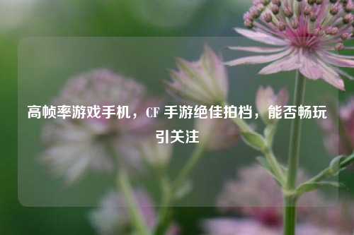 高帧率游戏手机,CF 手游绝佳拍档,能否畅玩引关注
