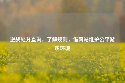 逆战处分查询,了解规则,借网站维护公平游戏环境