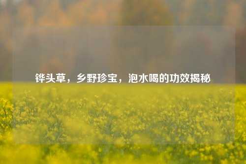 铧头草，乡野珍宝，泡水喝的功效揭秘