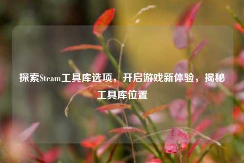 探索Steam工具库选项，开启游戏新体验，揭秘工具库位置
